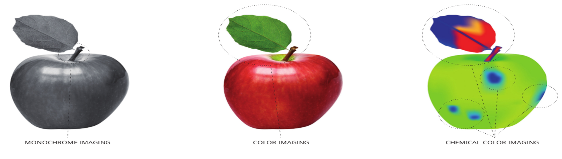 Hyper spectral imaging