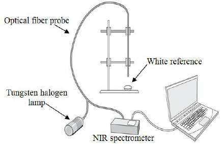 Schematic-diagram-for-calibration-of-NIR-spectroscopy-technique